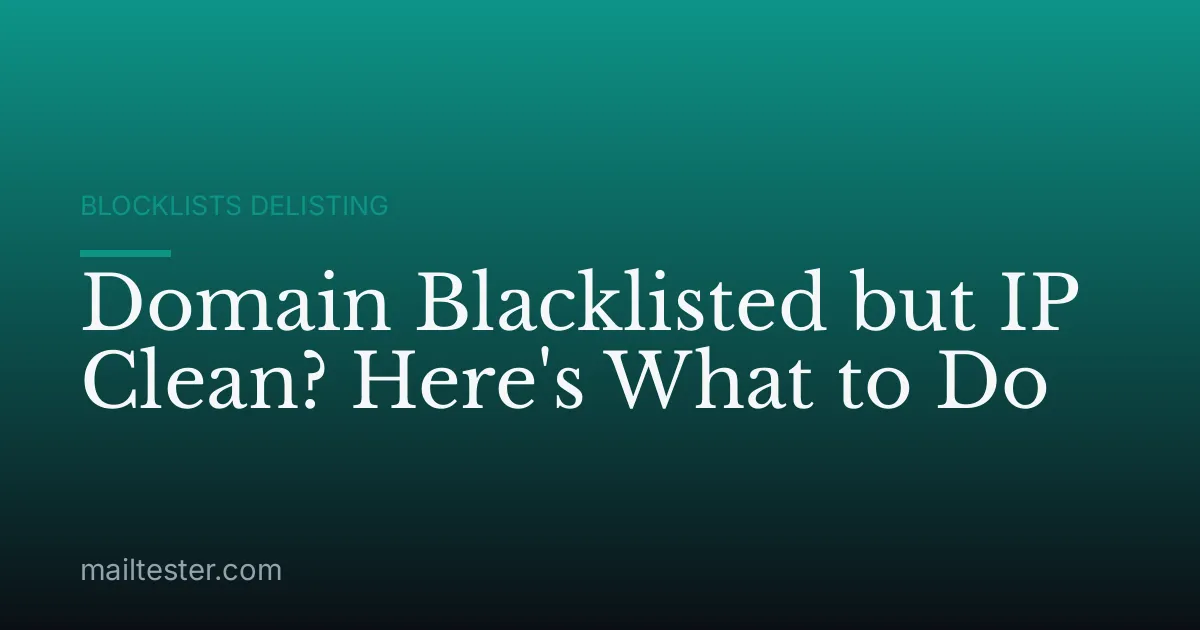 Domain Blacklisted but IP Clean? Here's What to Do
