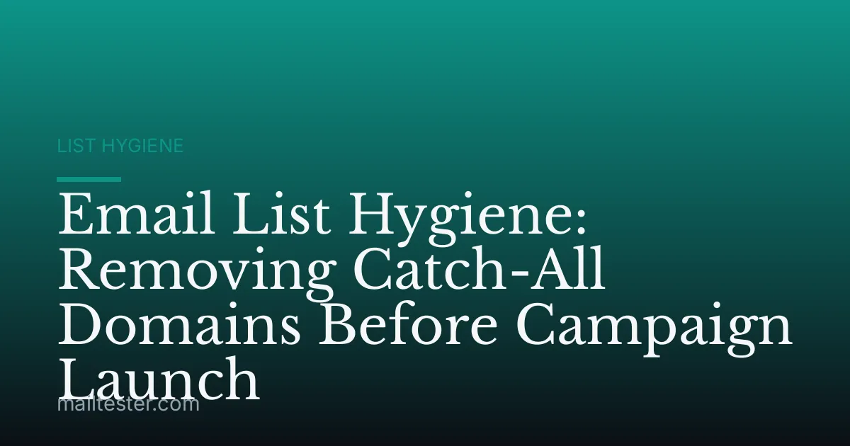 Email List Hygiene: Removing Catch-All Domains Before Campaign Launch