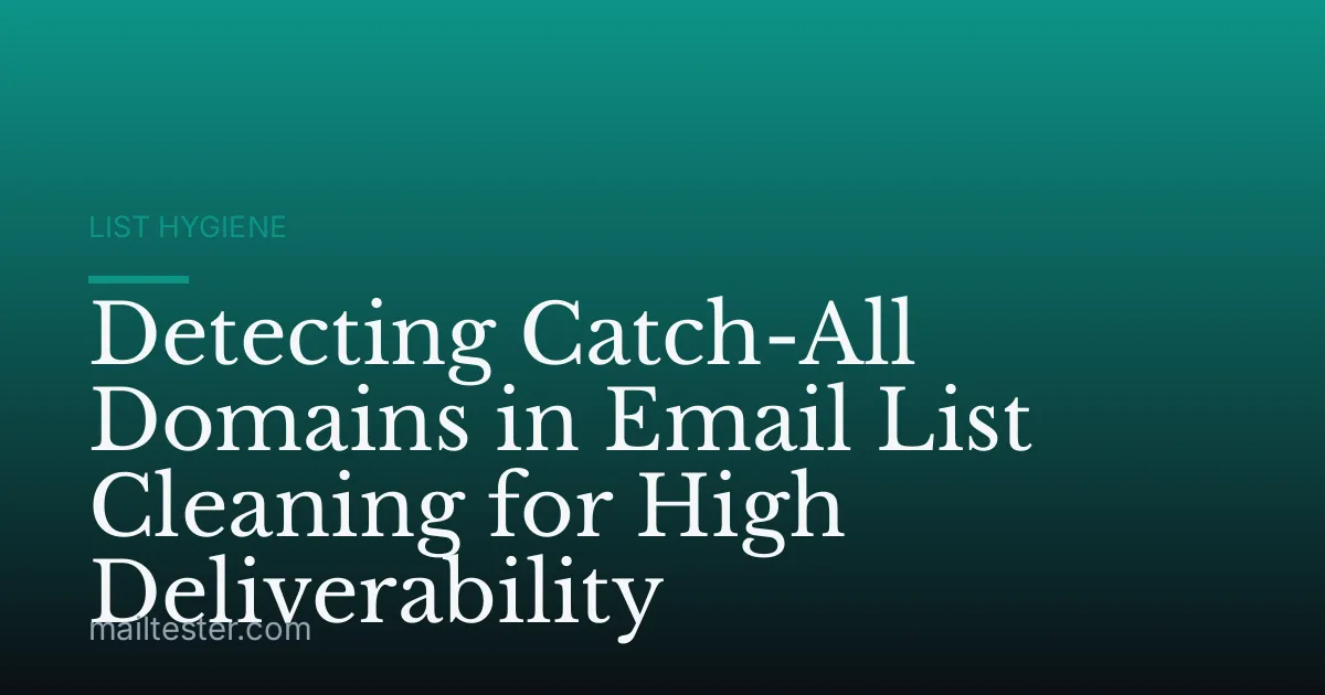 Detecting Catch-All Domains in Email List Cleaning for High Deliverability