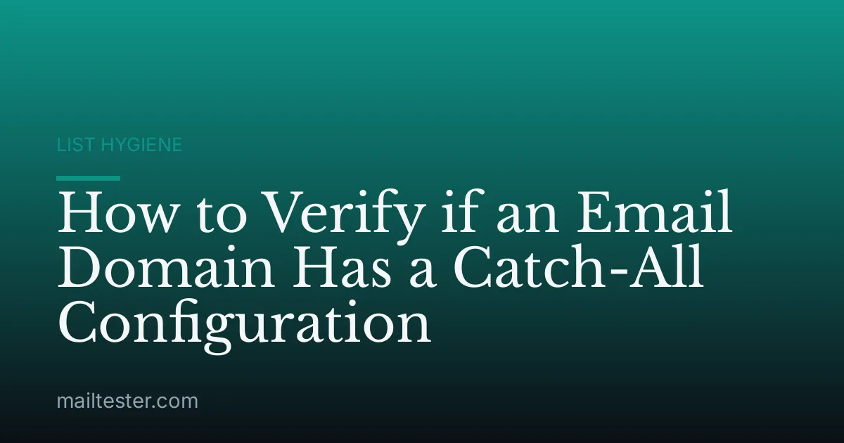 How to Verify if an Email Domain Has a Catch-All Configuration