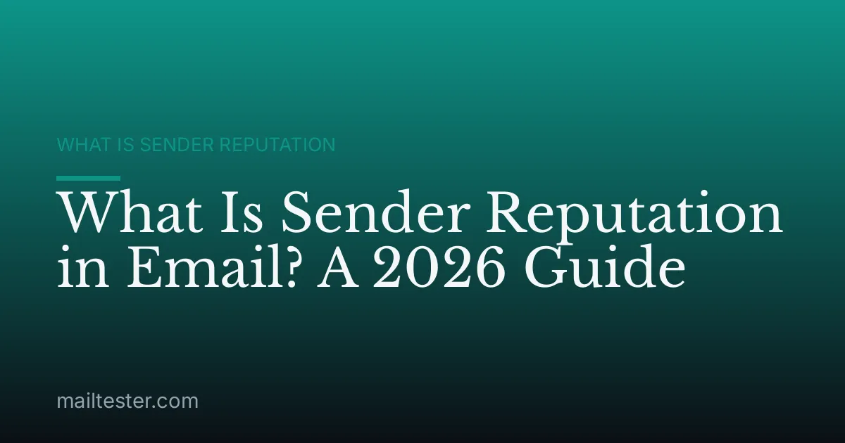 What Is Sender Reputation in Email? A 2026 Guide