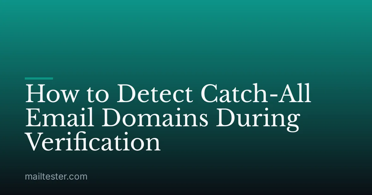 How to Detect Catch-All Email Domains During Verification
