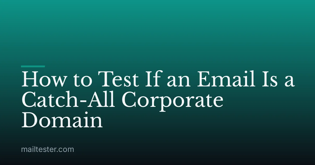 How to Test If an Email Is a Catch-All Corporate Domain