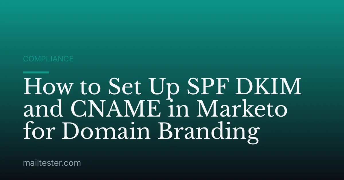 How to Set Up SPF DKIM and CNAME in Marketo for Domain Branding