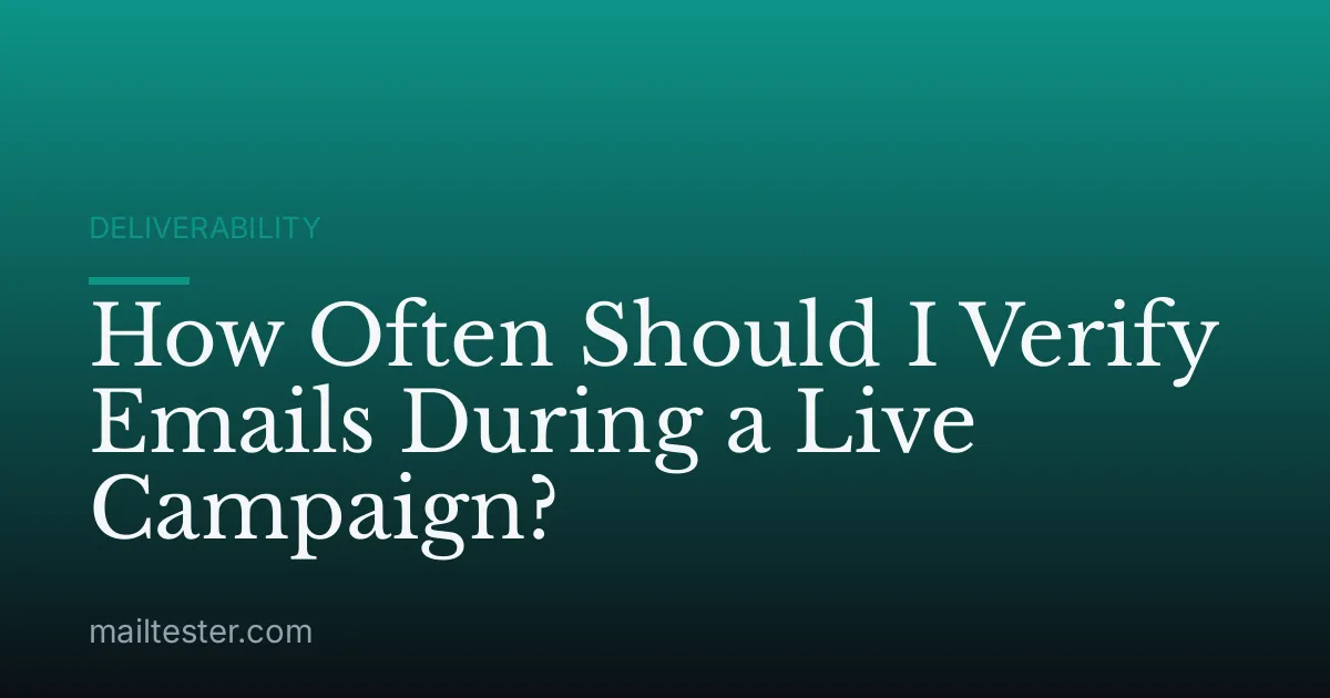 How Often Should I Verify Emails During a Live Campaign?