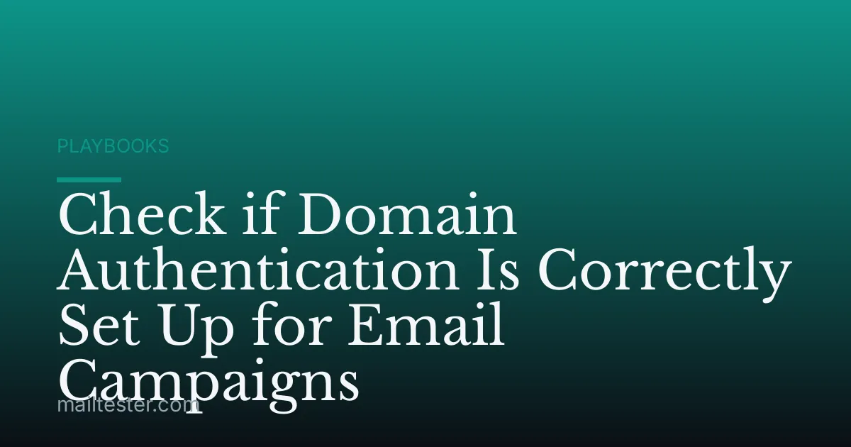 Check if Domain Authentication Is Correctly Set Up for Email Campaigns