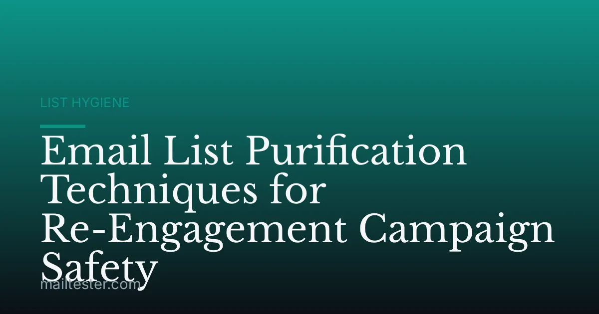 Email List Purification Techniques for Re-Engagement Campaign Safety