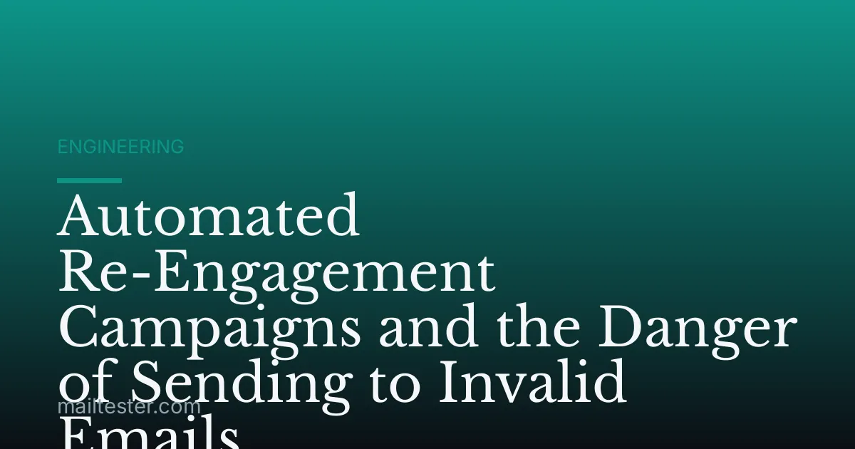 Automated Re-Engagement Campaigns and the Danger of Sending to Invalid Emails