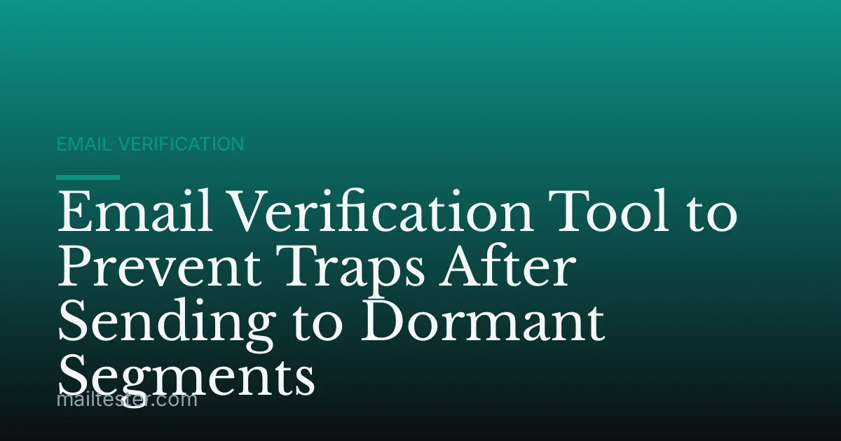 Email Verification Tool to Prevent Traps After Sending to Dormant Segments
