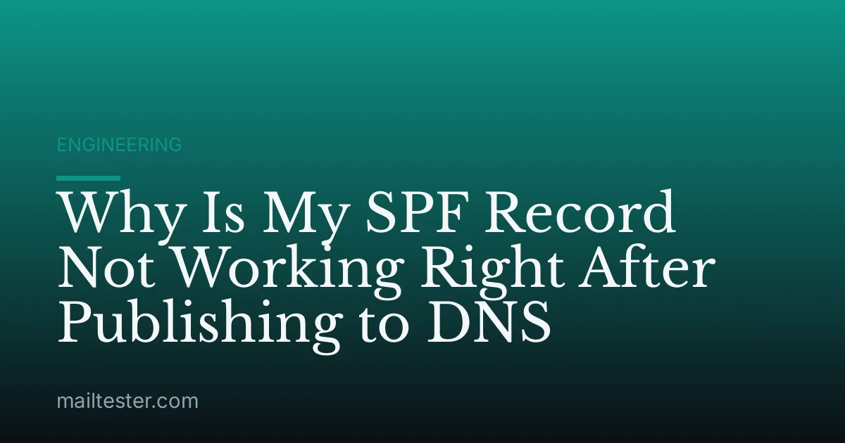 Why Is My SPF Record Not Working Right After Publishing to DNS