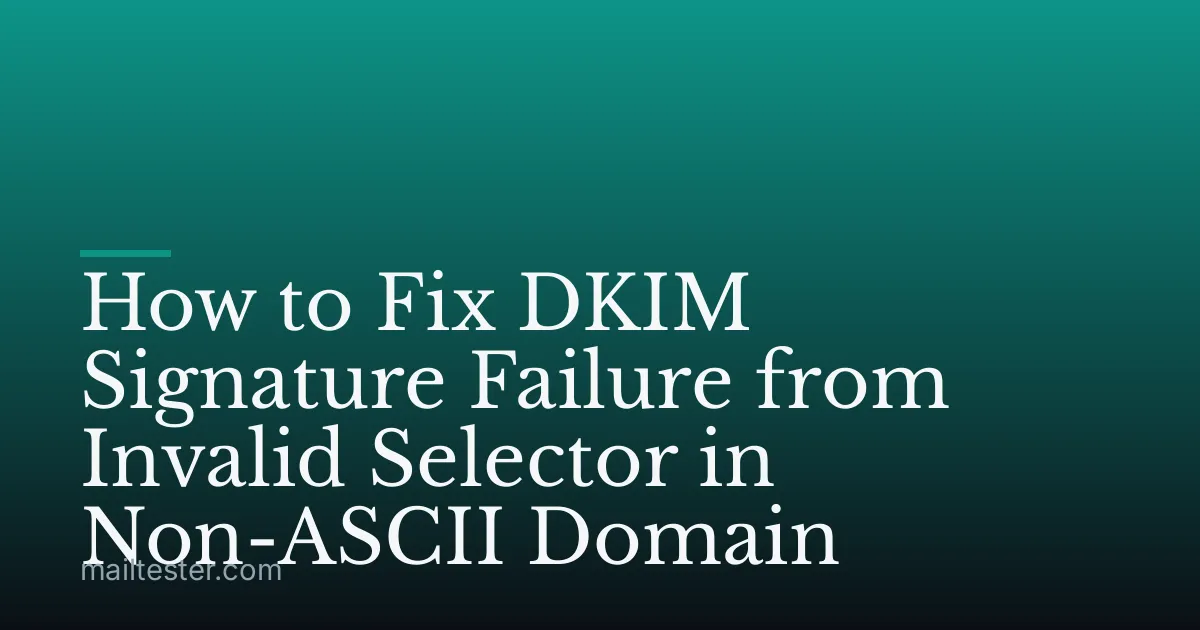 How to Fix DKIM Signature Failure from Invalid Selector in Non-ASCII Domain