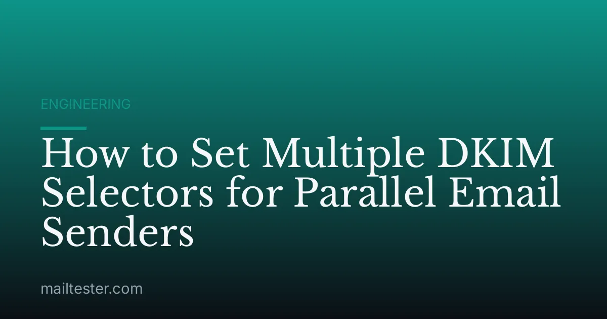 How to Set Multiple DKIM Selectors for Parallel Email Senders