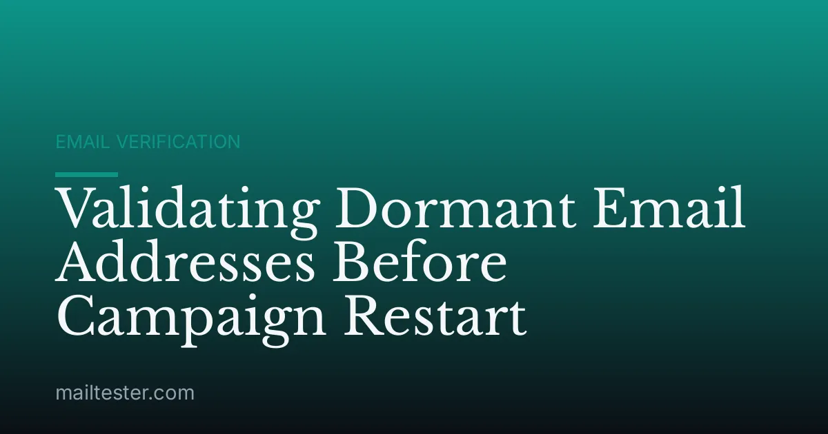 Validating Dormant Email Addresses Before Campaign Restart