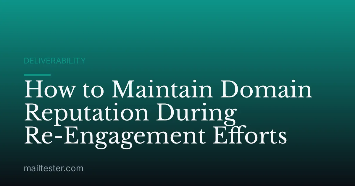 How to Maintain Domain Reputation During Re-Engagement Efforts