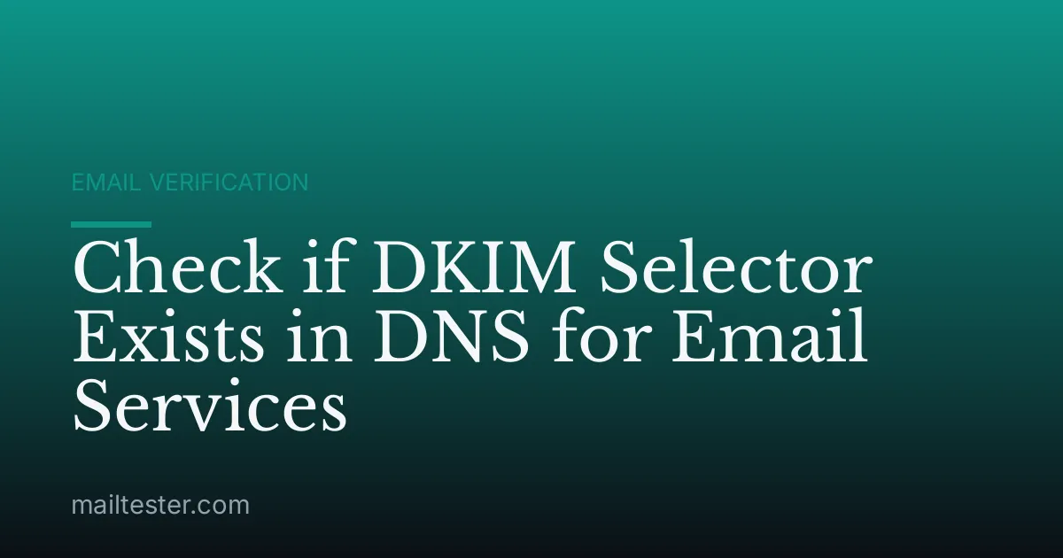 Check if DKIM Selector Exists in DNS for Email Services