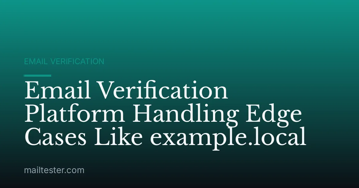 Email Verification Platform Handling Edge Cases Like example.local