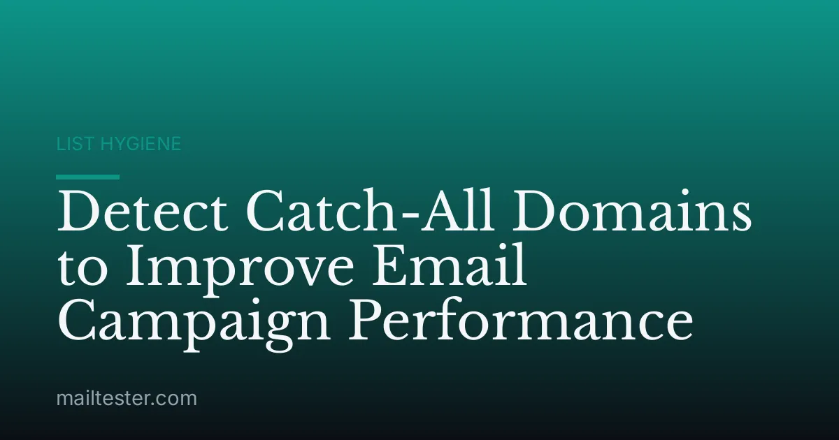 Detect Catch-All Domains to Improve Email Campaign Performance