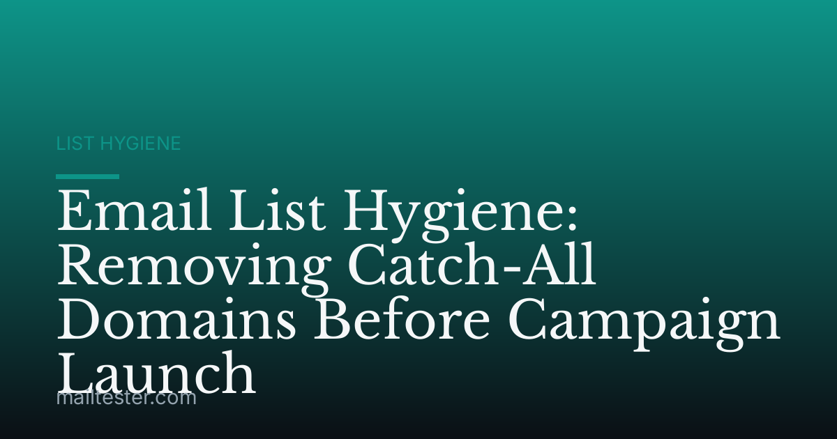 Email List Hygiene: Removing Catch-All Domains Before Campaign Launch