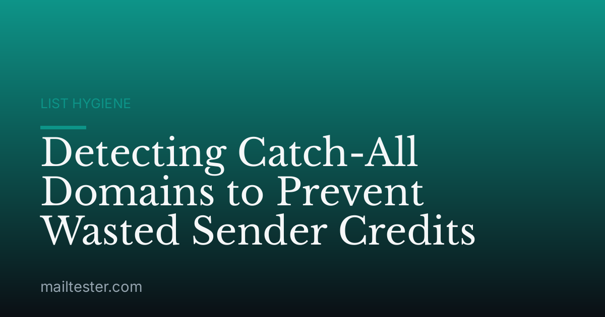 Detecting Catch-All Domains to Prevent Wasted Sender Credits