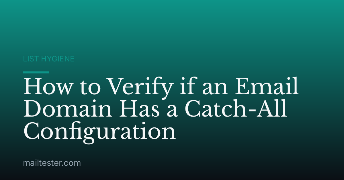 How to Verify if an Email Domain Has a Catch-All Configuration