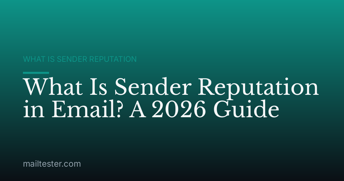 What Is Sender Reputation in Email? A 2026 Guide