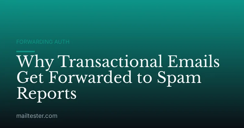 Why Transactional Emails Get Forwarded to Spam Reports