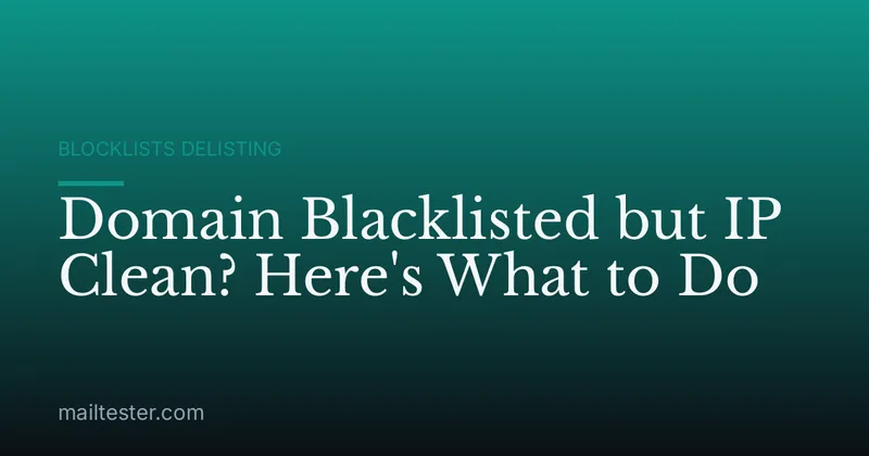 Domain Blacklisted but IP Clean? Here's What to Do