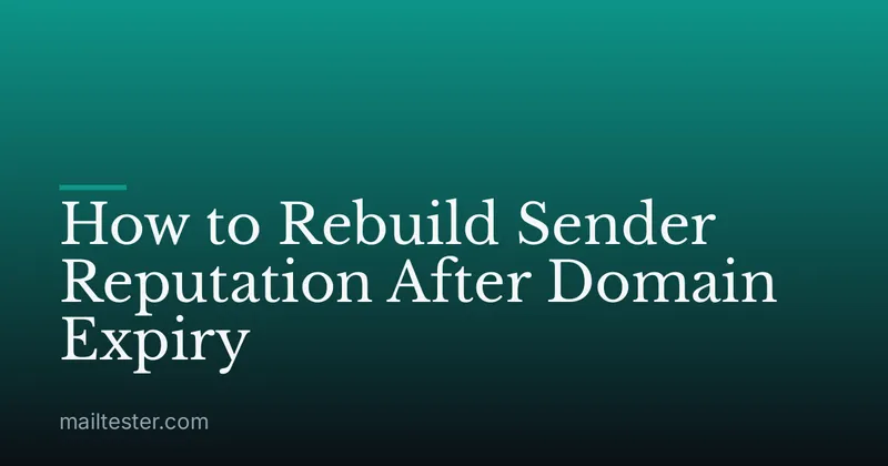 How to Rebuild Sender Reputation After Domain Expiry