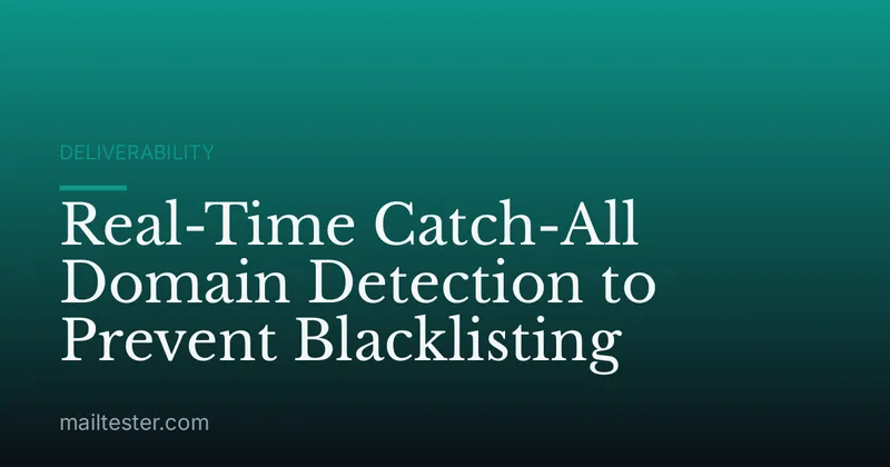 Real-Time Catch-All Domain Detection to Prevent Blacklisting