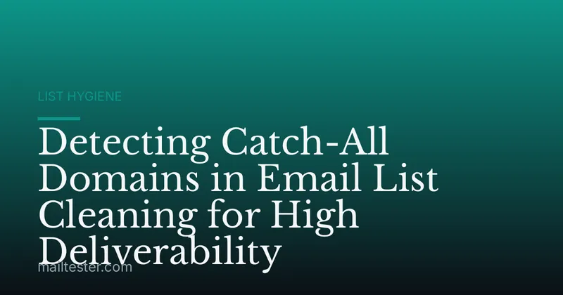 Detecting Catch-All Domains in Email List Cleaning for High Deliverability