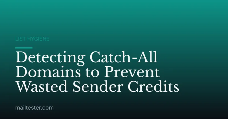 Detecting Catch-All Domains to Prevent Wasted Sender Credits