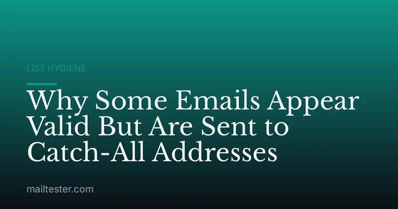 Why Some Emails Appear Valid But Are Sent to Catch-All Addresses