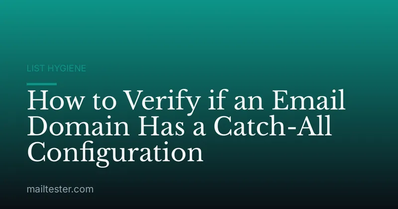 How to Verify if an Email Domain Has a Catch-All Configuration