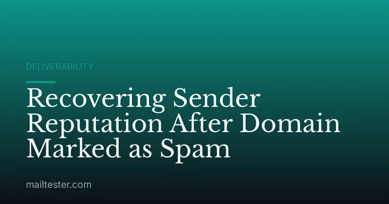 Recovering Sender Reputation After Domain Marked as Spam