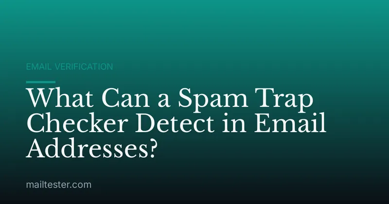 What Can a Spam Trap Checker Detect in Email Addresses?