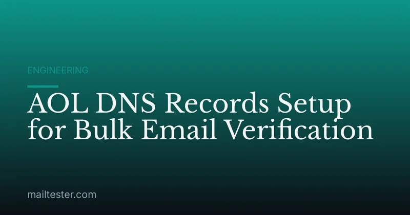 AOL DNS Records Setup for Bulk Email Verification