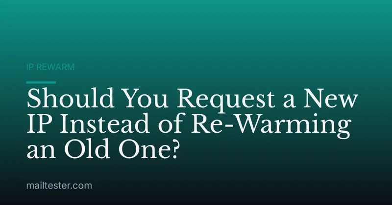 Should You Request a New IP Instead of Re-Warming an Old One?