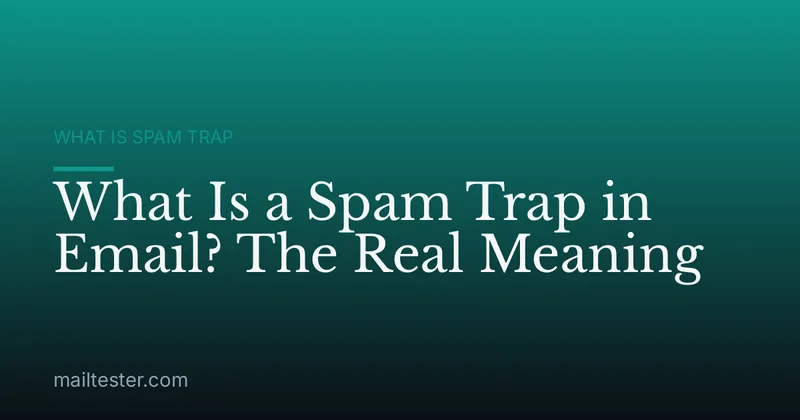 What Is a Spam Trap in Email? The Real Meaning