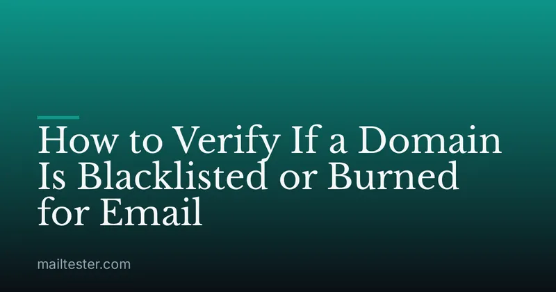 How to Verify If a Domain Is Blacklisted or Burned for Email