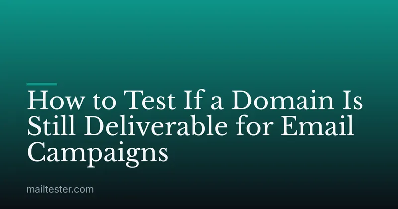 How to Test If a Domain Is Still Deliverable for Email Campaigns