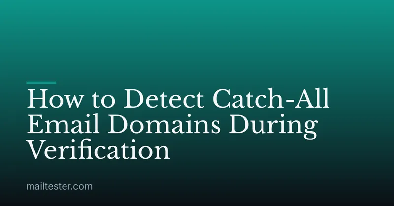 How to Detect Catch-All Email Domains During Verification
