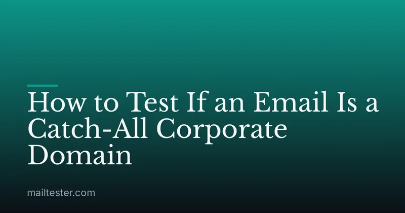 How to Test If an Email Is a Catch-All Corporate Domain