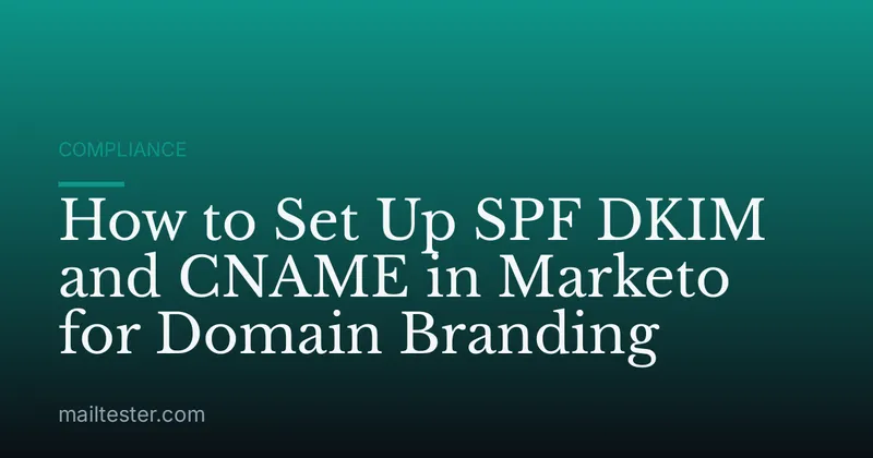 How to Set Up SPF DKIM and CNAME in Marketo for Domain Branding