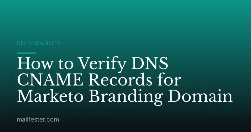 How to Verify DNS CNAME Records for Marketo Branding Domain