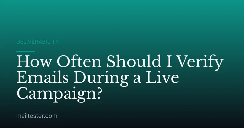 How Often Should I Verify Emails During a Live Campaign?