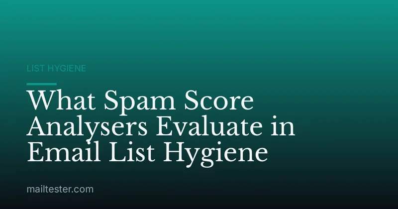 What Spam Score Analysers Evaluate in Email List Hygiene