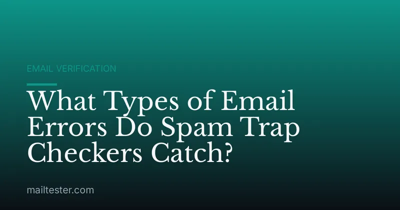 What Types of Email Errors Do Spam Trap Checkers Catch?