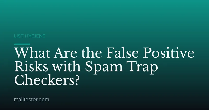 What Are the False Positive Risks with Spam Trap Checkers?