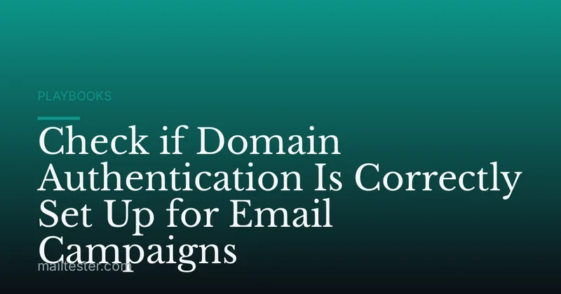 Check if Domain Authentication Is Correctly Set Up for Email Campaigns