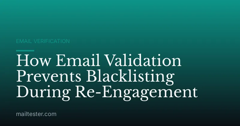 How Email Validation Prevents Blacklisting During Re-Engagement